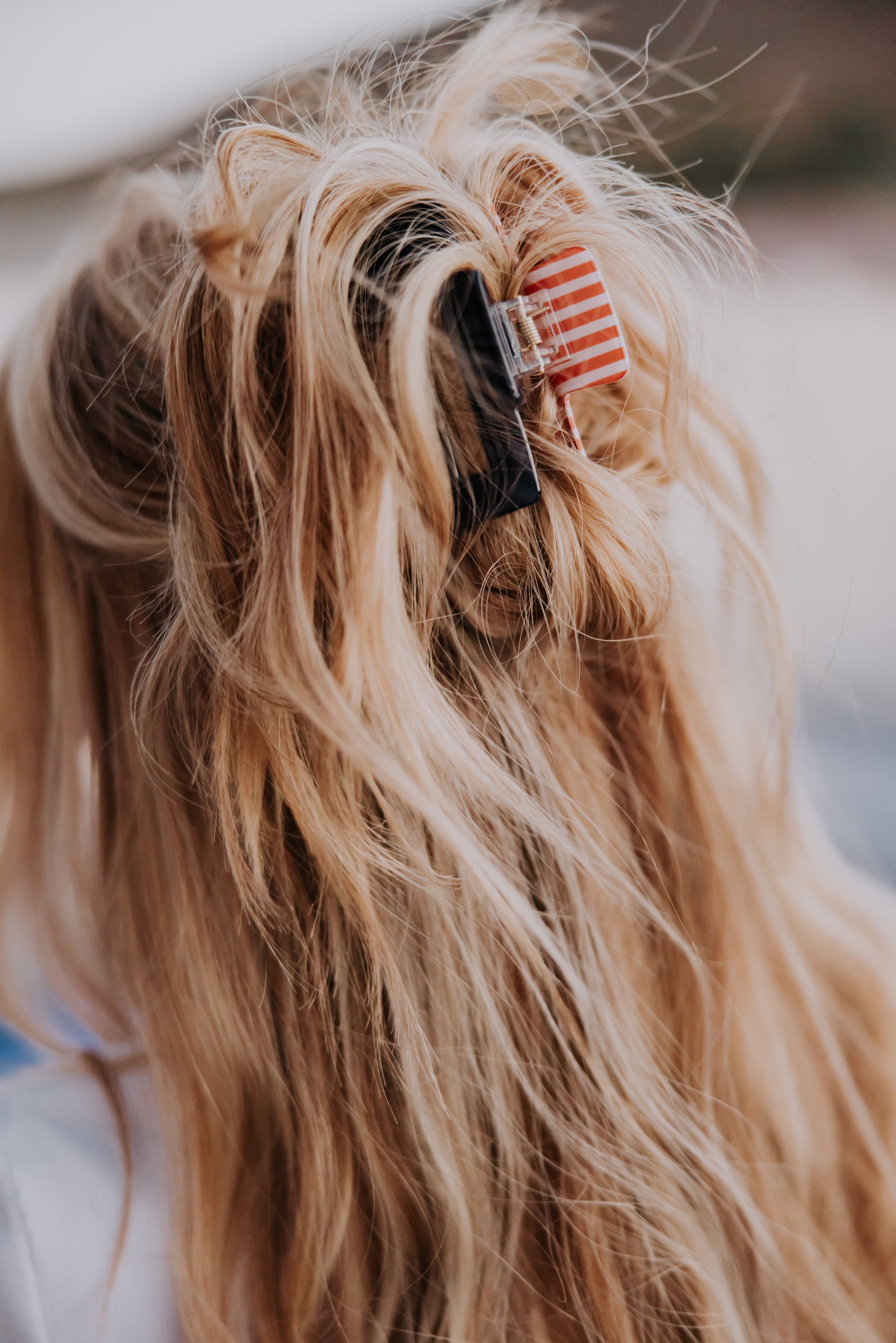 A close-up of long, wavy blonde hair secured by the Mama X™ Brand Red white and blue/Stripe Claw Clip—a large claw with patriotic red and white stripes.